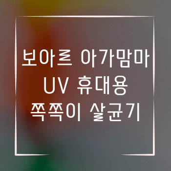 보아르 아가맘마 UV 휴대용 쪽쪽이 살균기