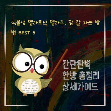 V2MID0023 식물성 멜라토닌 멜라즈 잠 잘 자는 방법 BEST 5