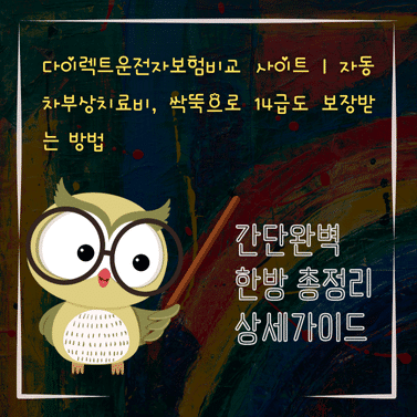 V2MID4496 다이렉트운전자보험비교 사이트｜자동차부상치료비 싹뚝으로 14급도 보장받는 방법