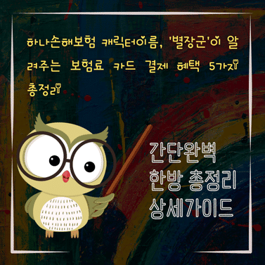 V2MID4783 하나손해보험 캐릭터이름 별장군이 알려주는 보험료 카드 결제 혜택 5가지 총정리